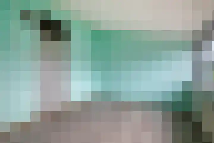 Sparrenrode 11 Leiden thumbnail 31