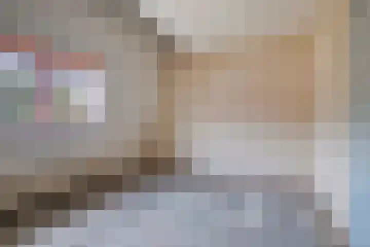 Sparrenrode 11 Leiden thumbnail 32