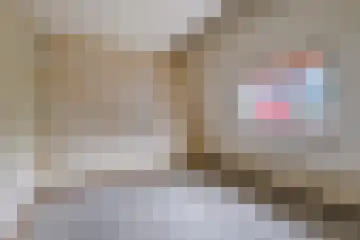 Sparrenrode 11 Leiden thumbnail 34