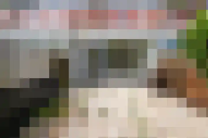 Sparrenrode 11 Leiden thumbnail 36