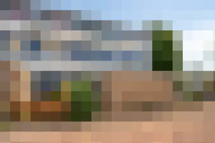 Sparrenrode 11 Leiden thumbnail 7