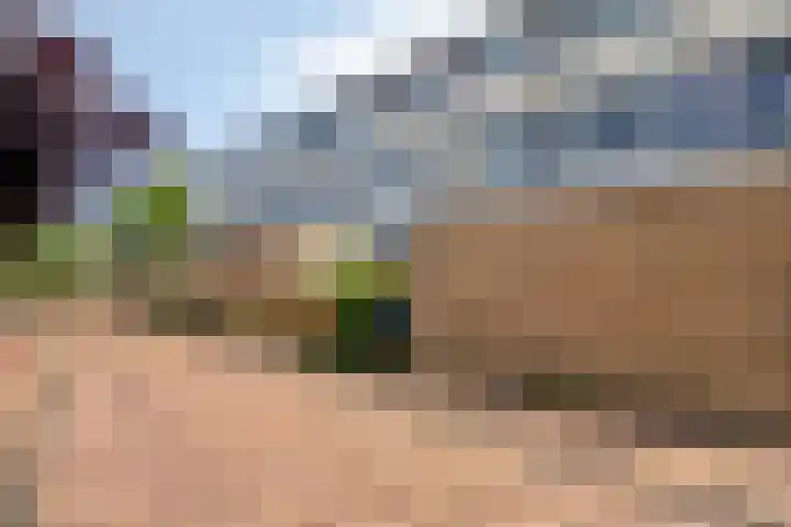 Sparrenrode 11 Leiden thumbnail 8