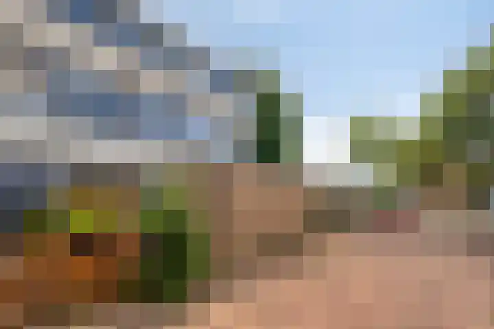 Sparrenrode 11 Leiden thumbnail 9