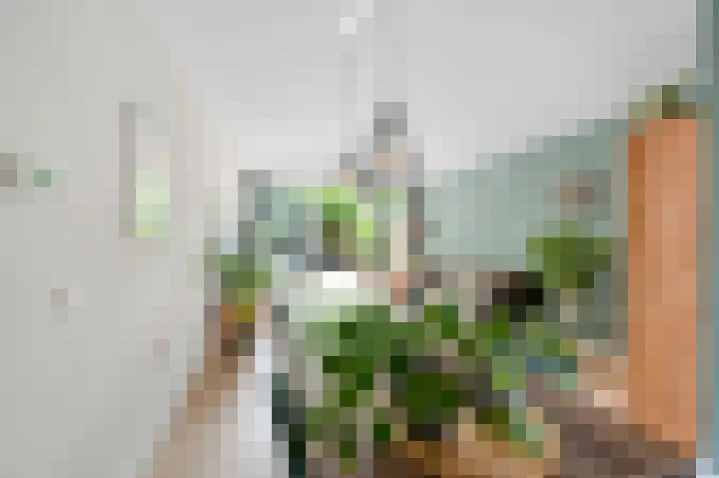 Sparrenrode 43 Leiden thumbnail 10