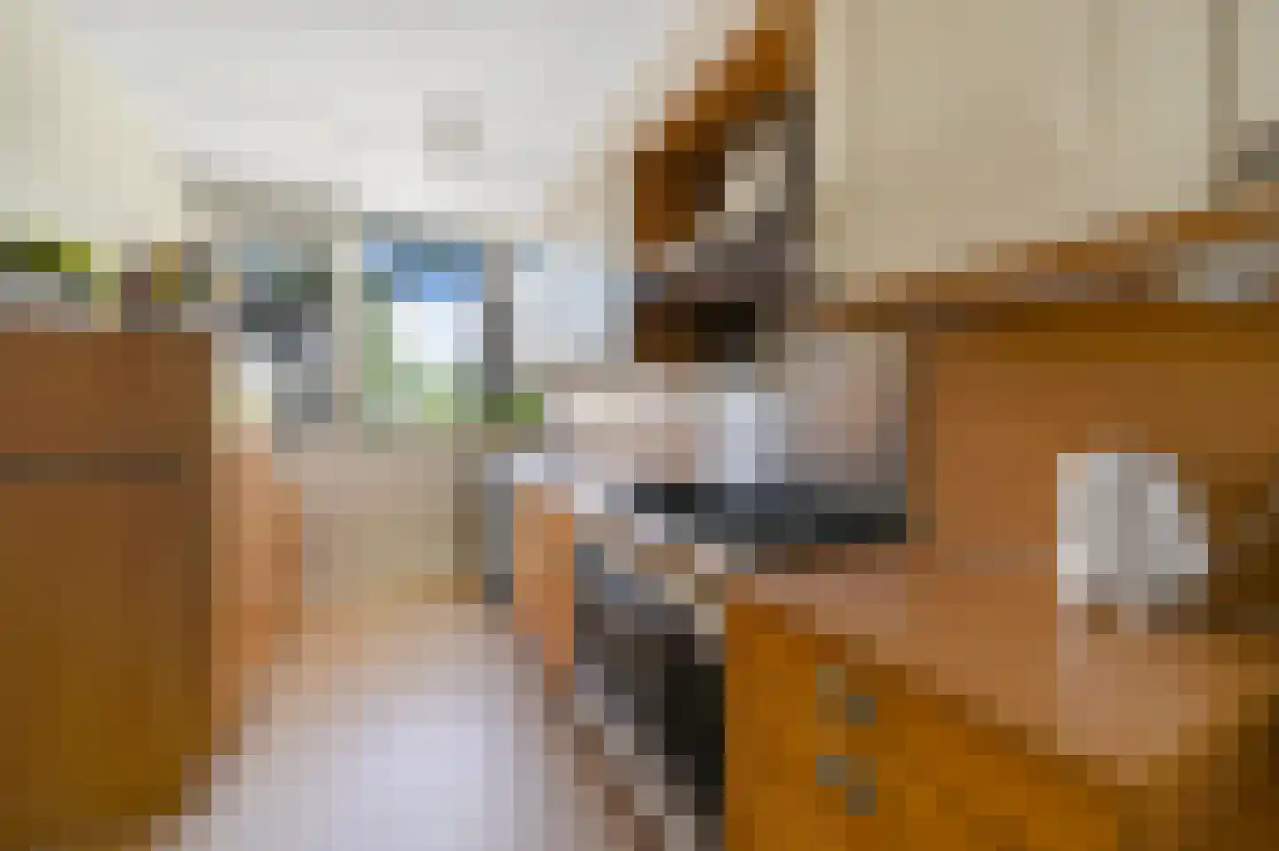 Sparrenrode 43 Leiden thumbnail 14