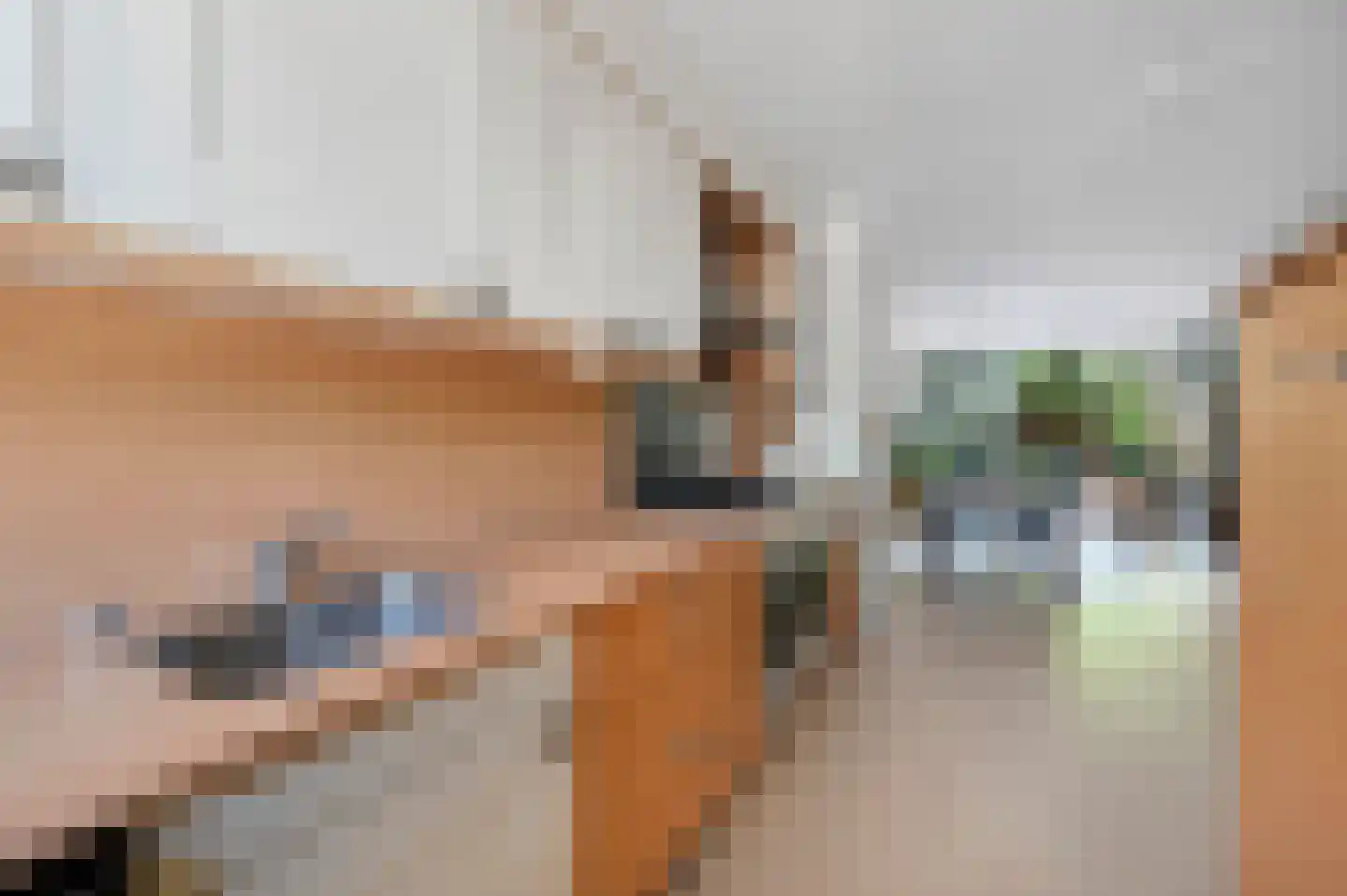Sparrenrode 43 Leiden thumbnail 15