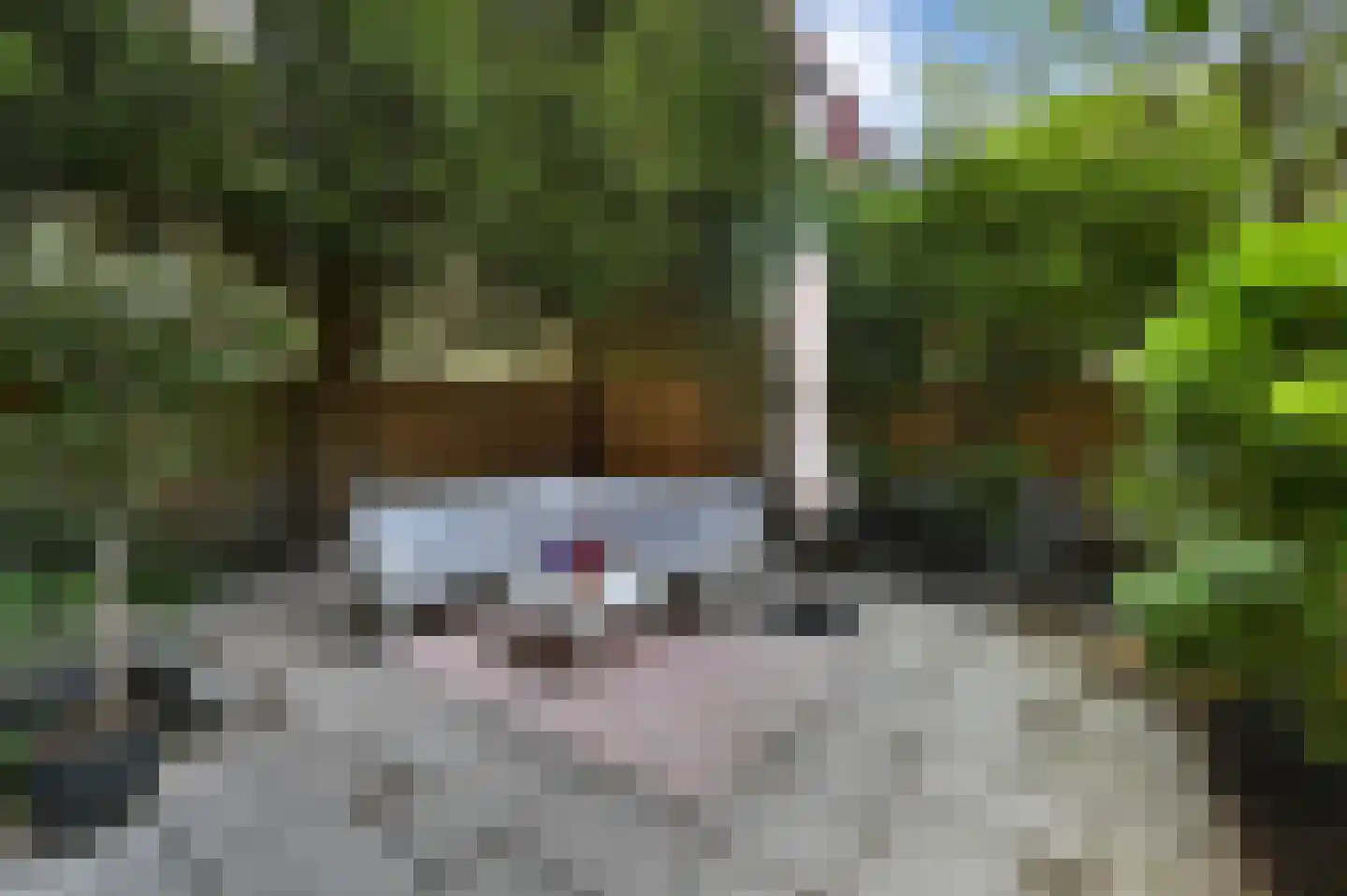 Sparrenrode 43 Leiden thumbnail 17