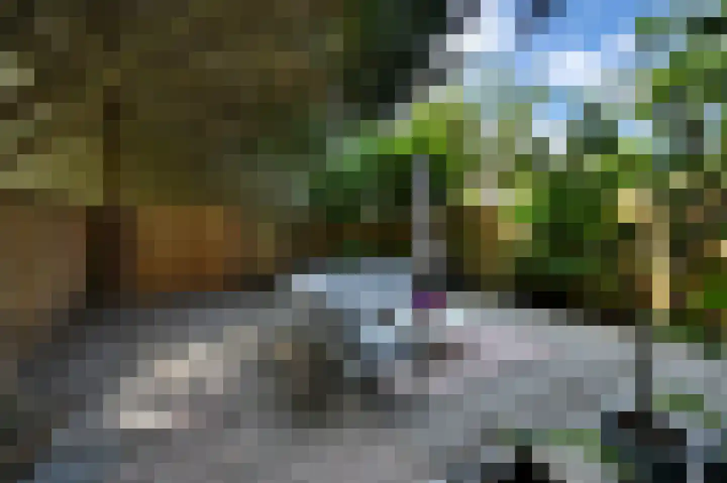 Sparrenrode 43 Leiden thumbnail 18