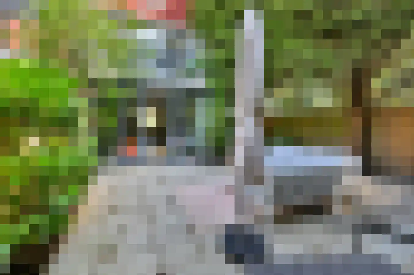 Sparrenrode 43 Leiden thumbnail 19
