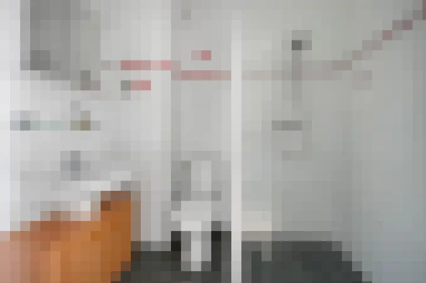 Sparrenrode 43 Leiden thumbnail 23