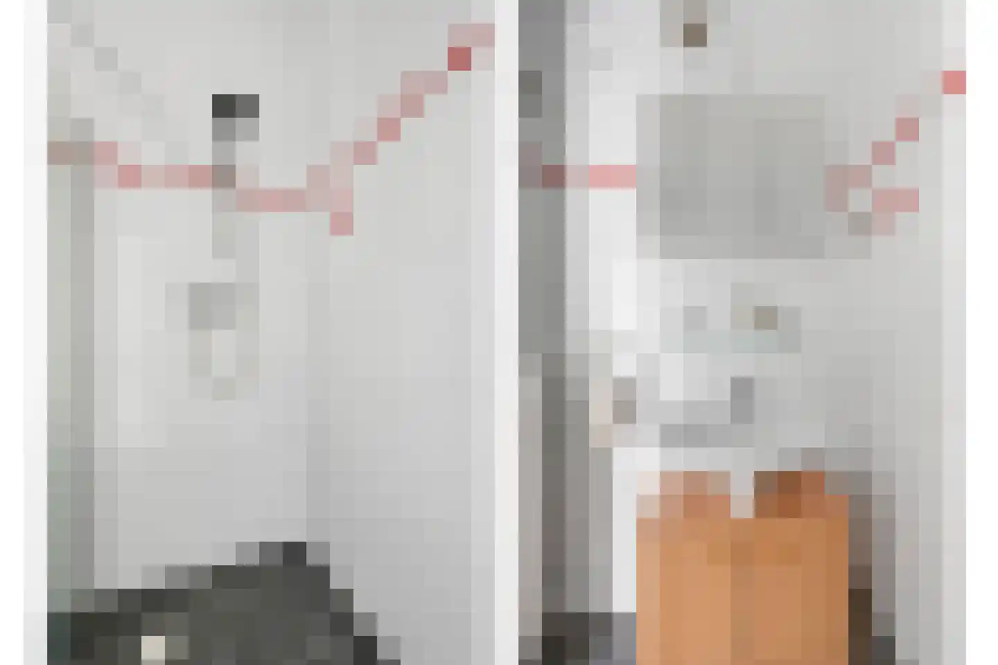 Sparrenrode 43 Leiden thumbnail 24