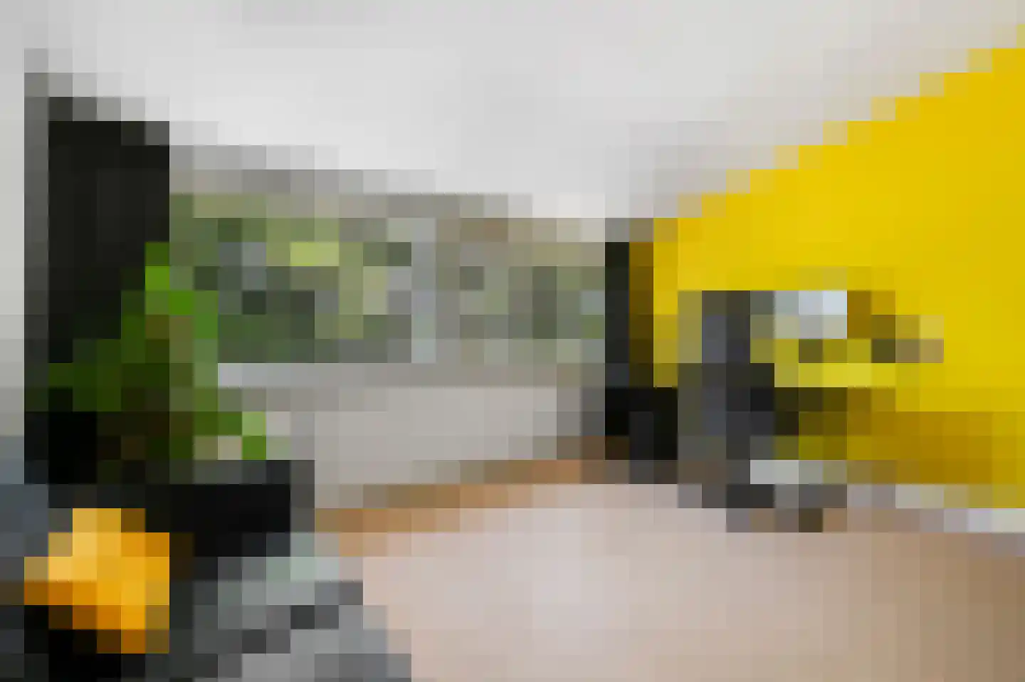 Sparrenrode 43 Leiden thumbnail 30