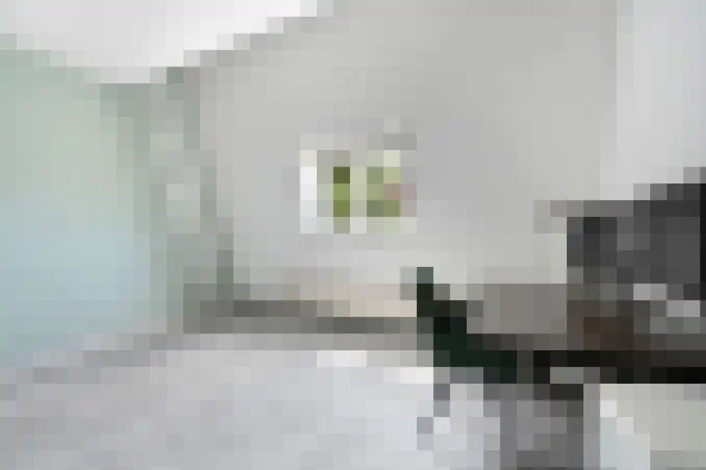 Sparrenrode 43 Leiden thumbnail 32