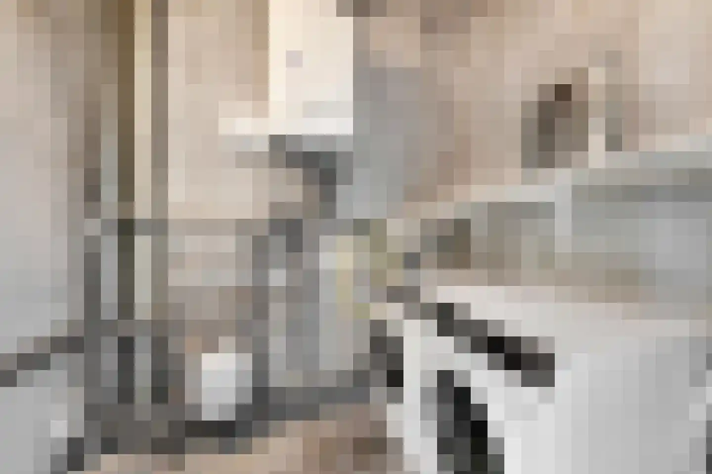 Sparrenrode 43 Leiden thumbnail 34