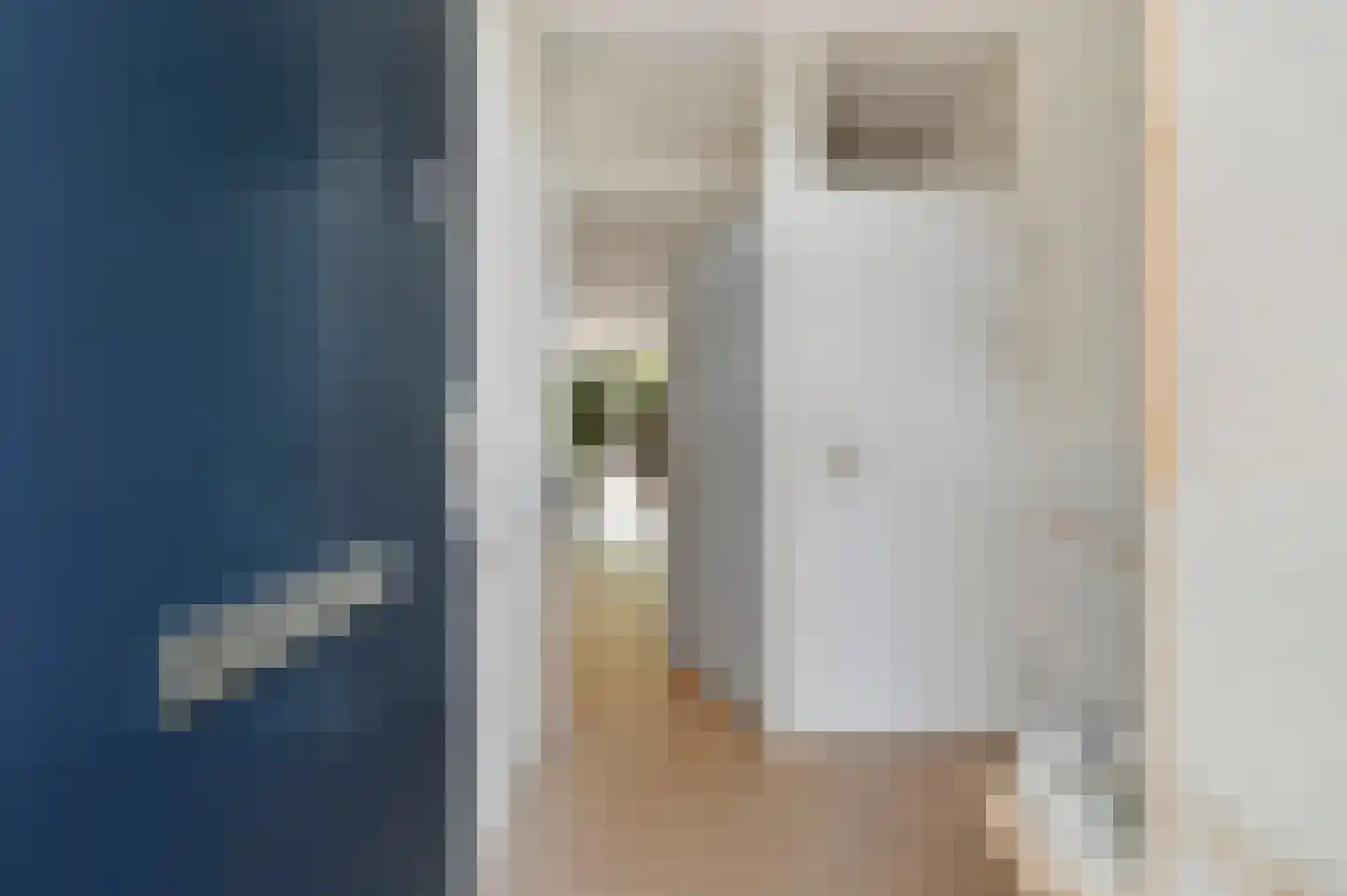 Sparrenrode 43 Leiden thumbnail 5