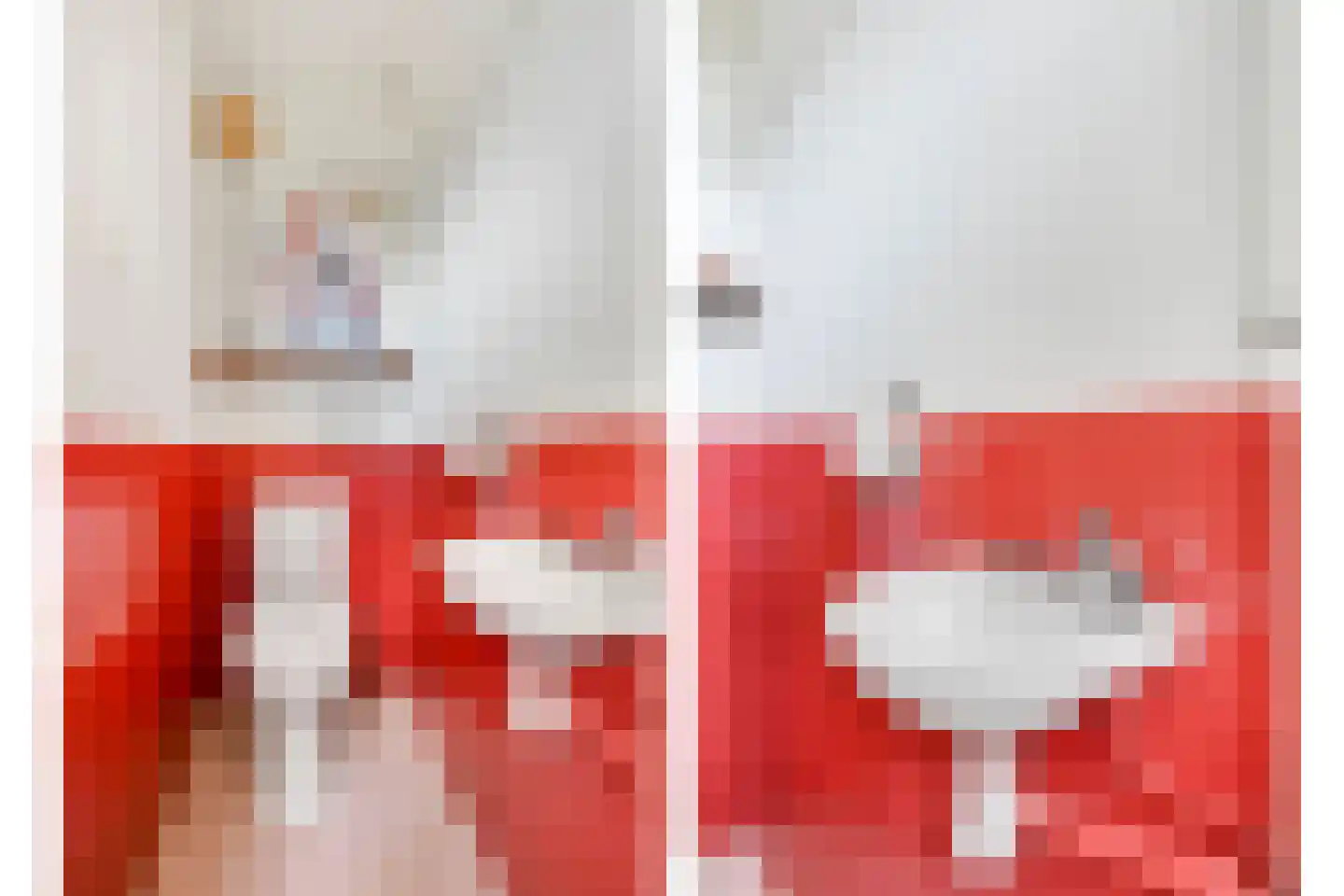 Sparrenrode 43 Leiden thumbnail 7