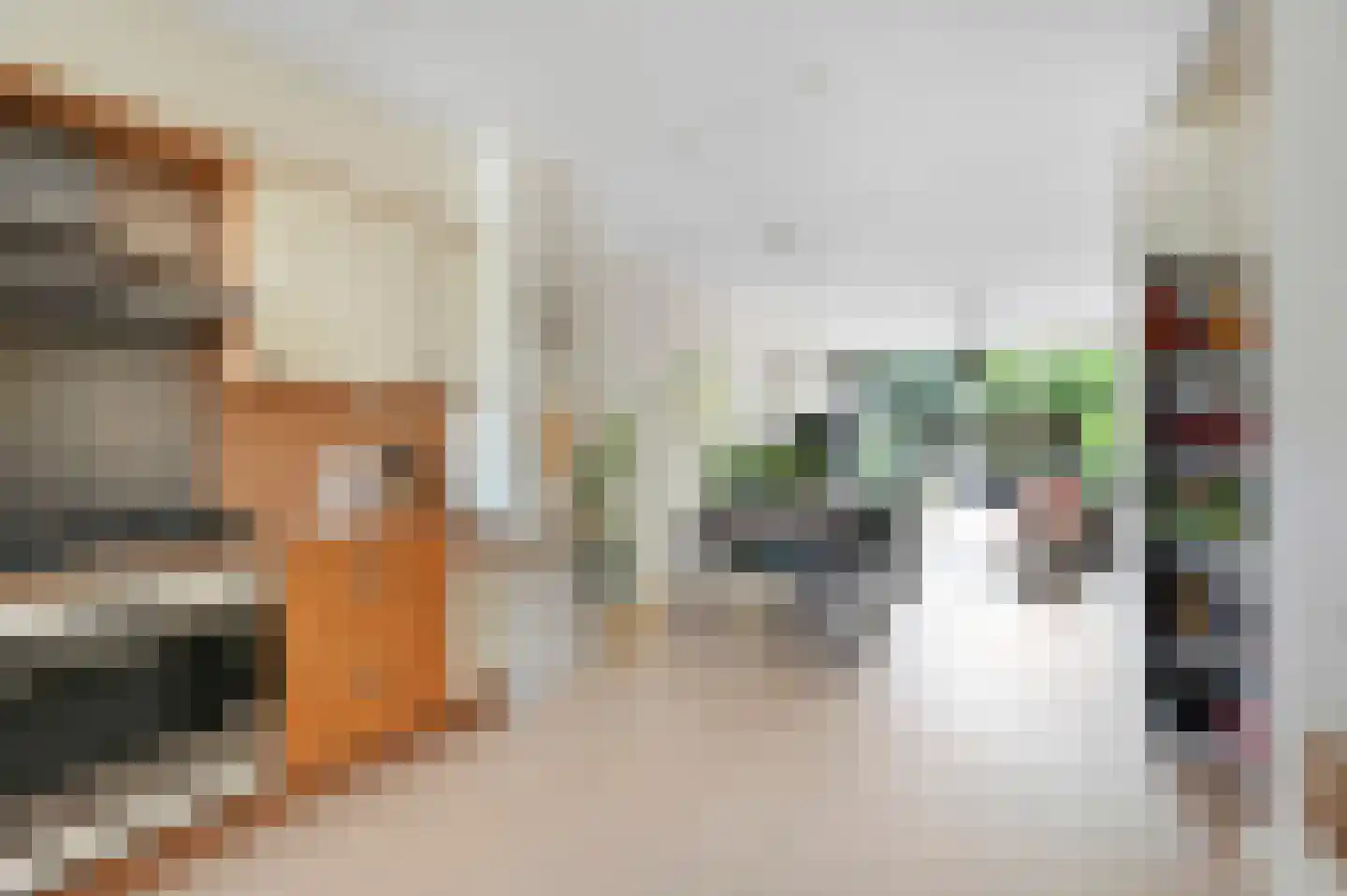 Sparrenrode 43 Leiden thumbnail 8