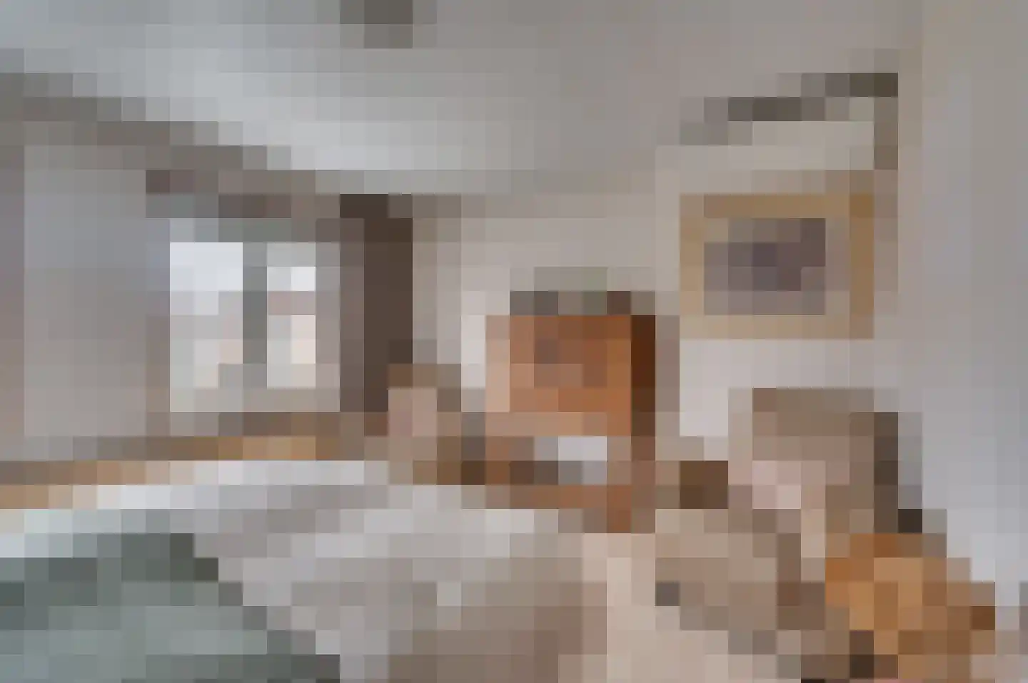 Sparrenstraat 13 Venlo thumbnail 11