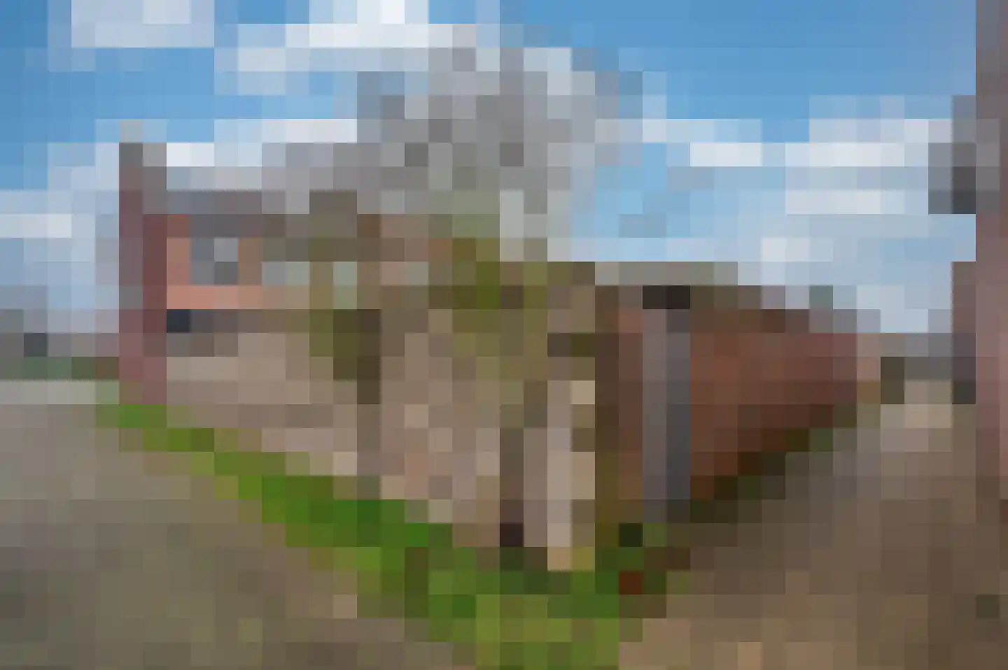 Sparrenstraat 13 Venlo thumbnail 26