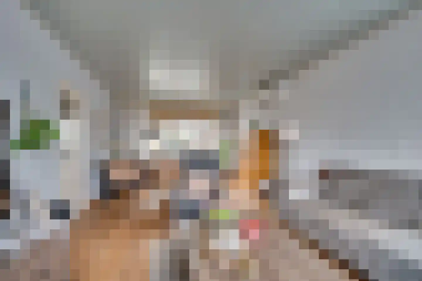 Sparrenstraat 13 Venlo thumbnail 5