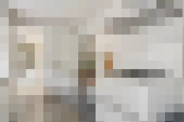 Sparrenstraat 16 Tilburg thumbnail 15