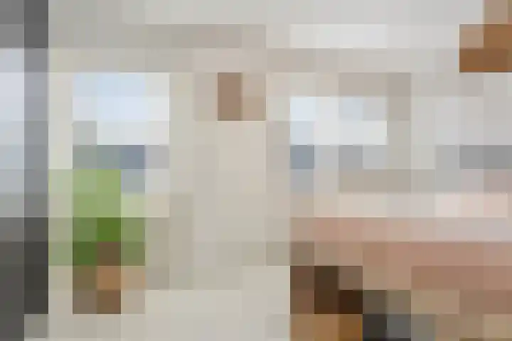 Sparrenstraat 16 Tilburg thumbnail 18