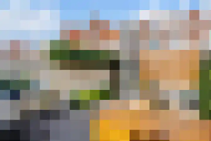 Sparrenstraat 16 Tilburg thumbnail 36