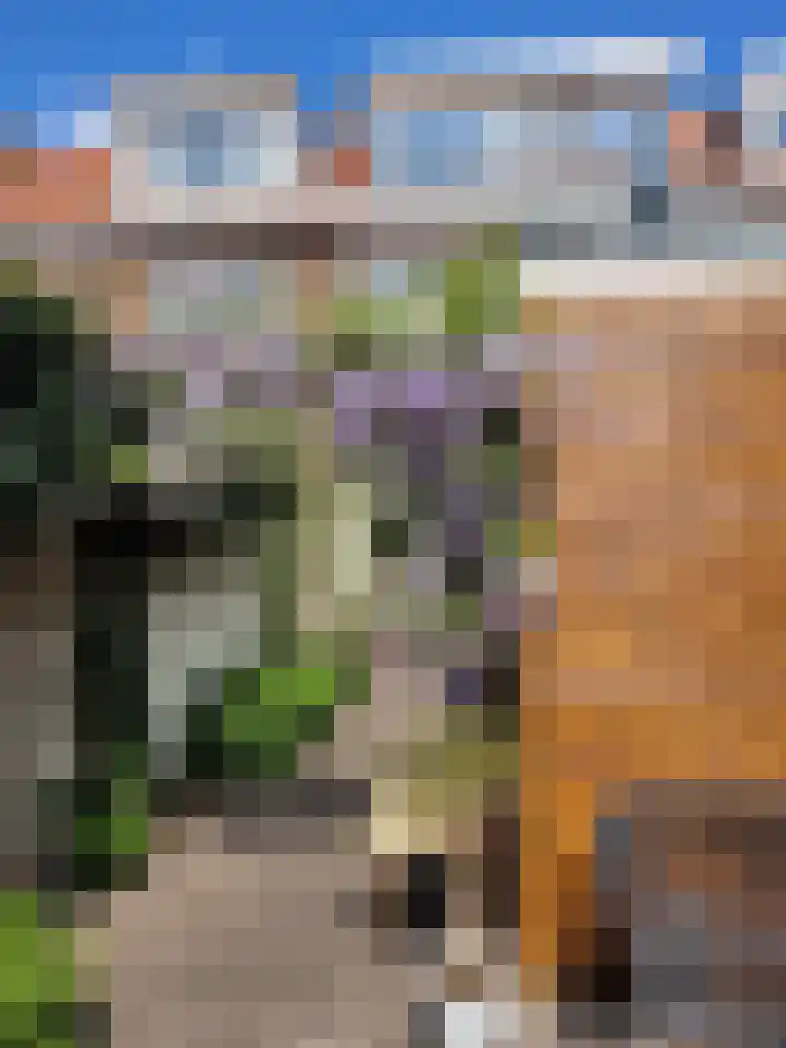 Sparrenstraat 16 Tilburg thumbnail 39