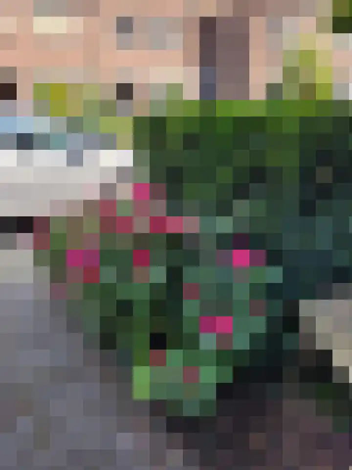 Sparrenstraat 16 Tilburg thumbnail 41