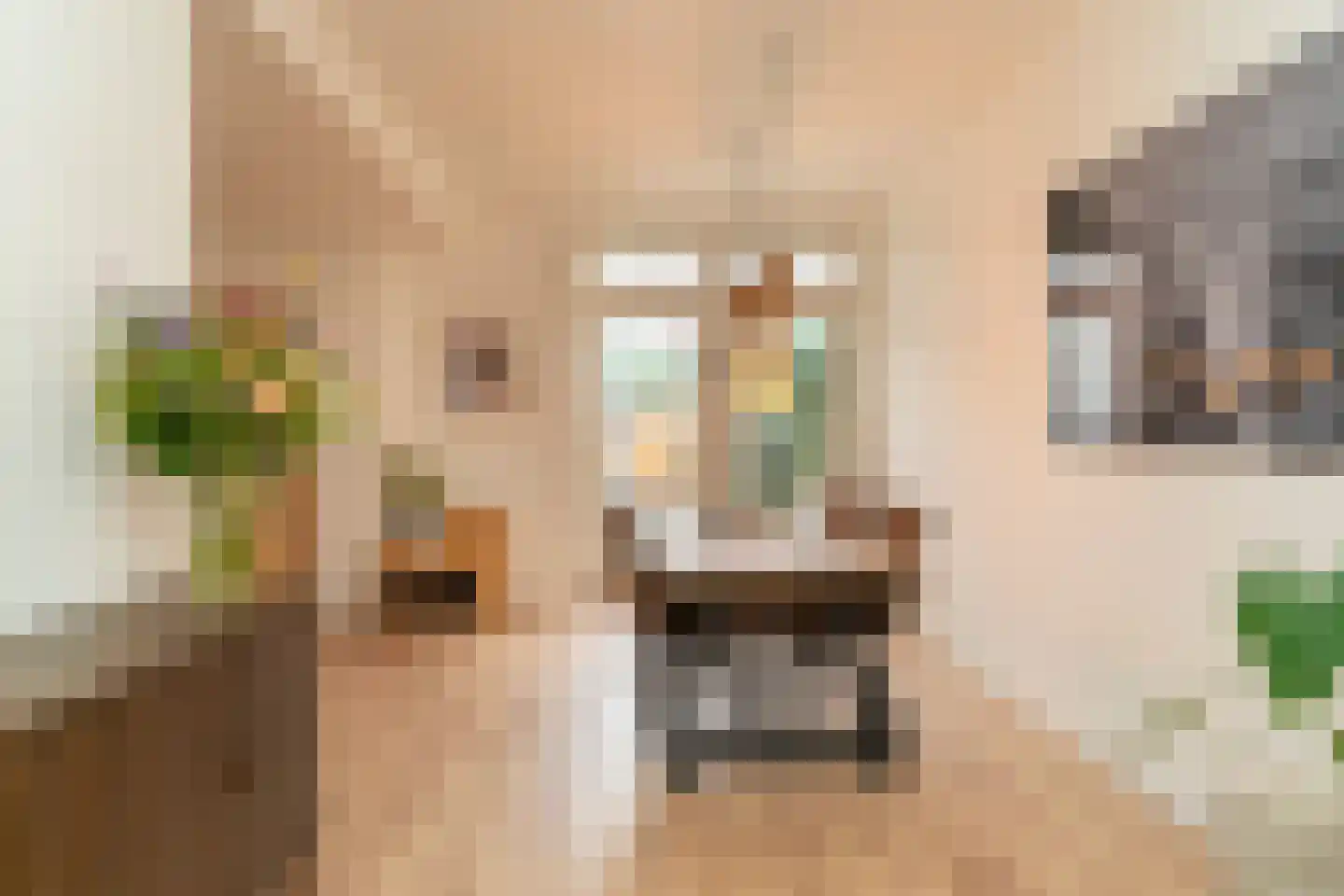 Sparrenstraat 21 Tilburg thumbnail 10
