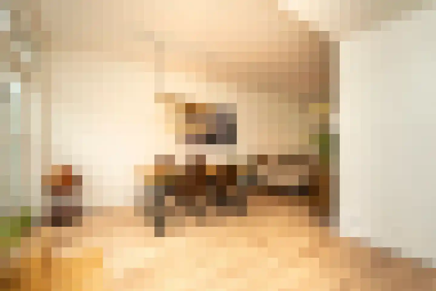 Sparrenstraat 21 Tilburg thumbnail 15