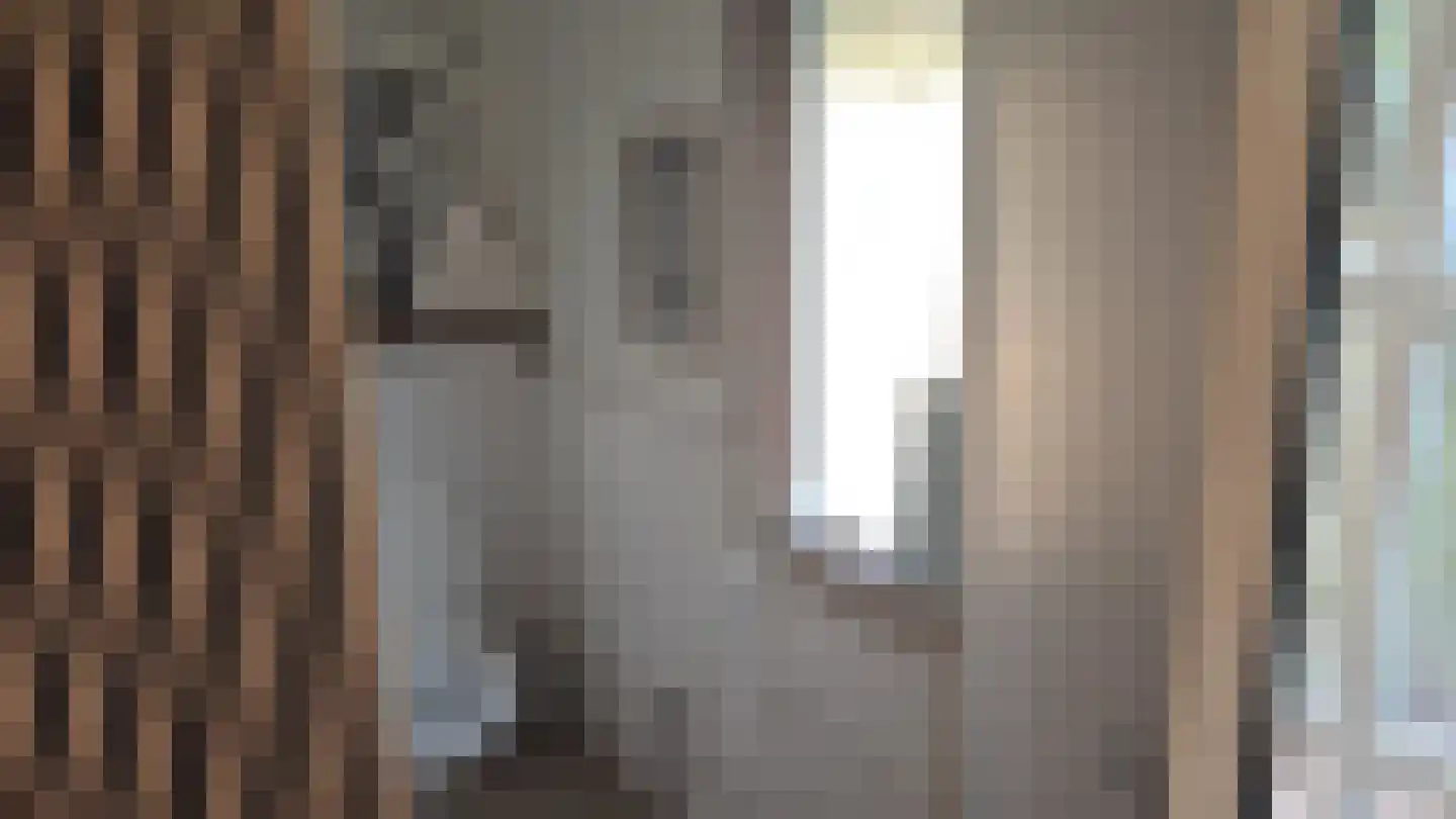 Sparrenstraat 21 Tilburg thumbnail 22