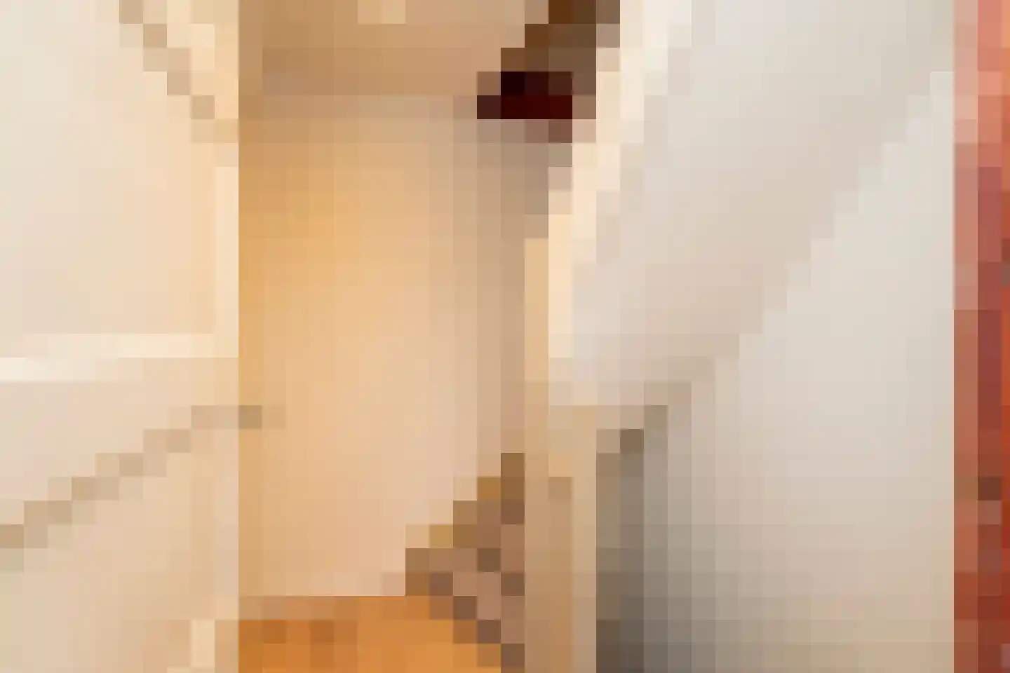 Sparrenstraat 21 Tilburg thumbnail 23