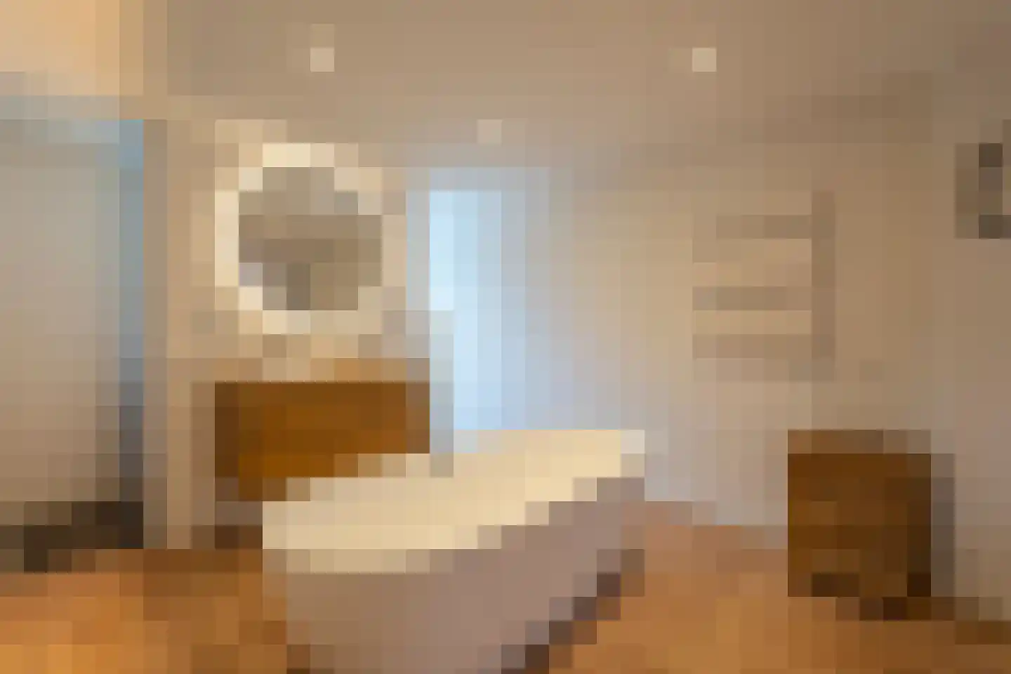 Sparrenstraat 21 Tilburg thumbnail 24