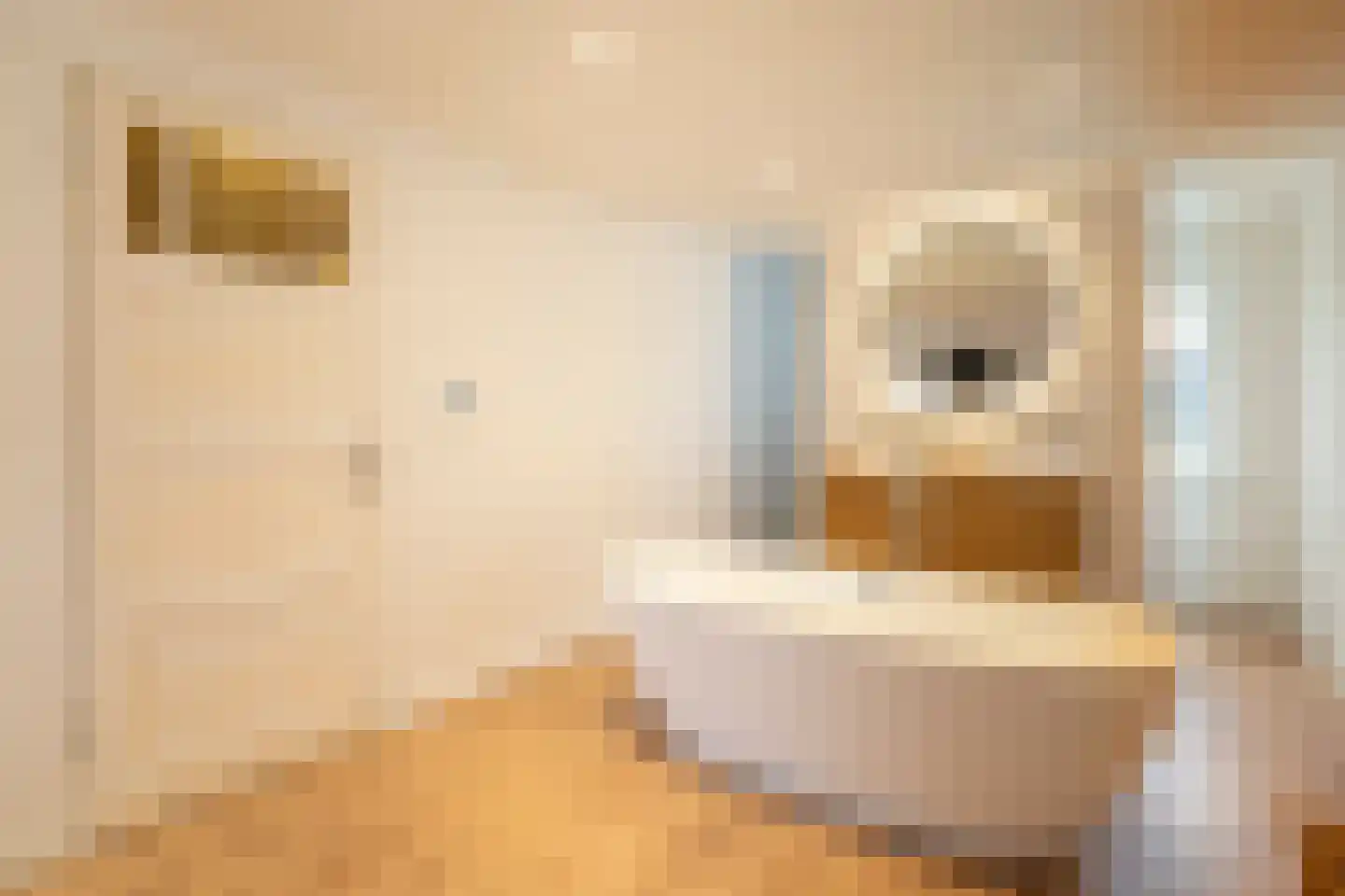 Sparrenstraat 21 Tilburg thumbnail 27
