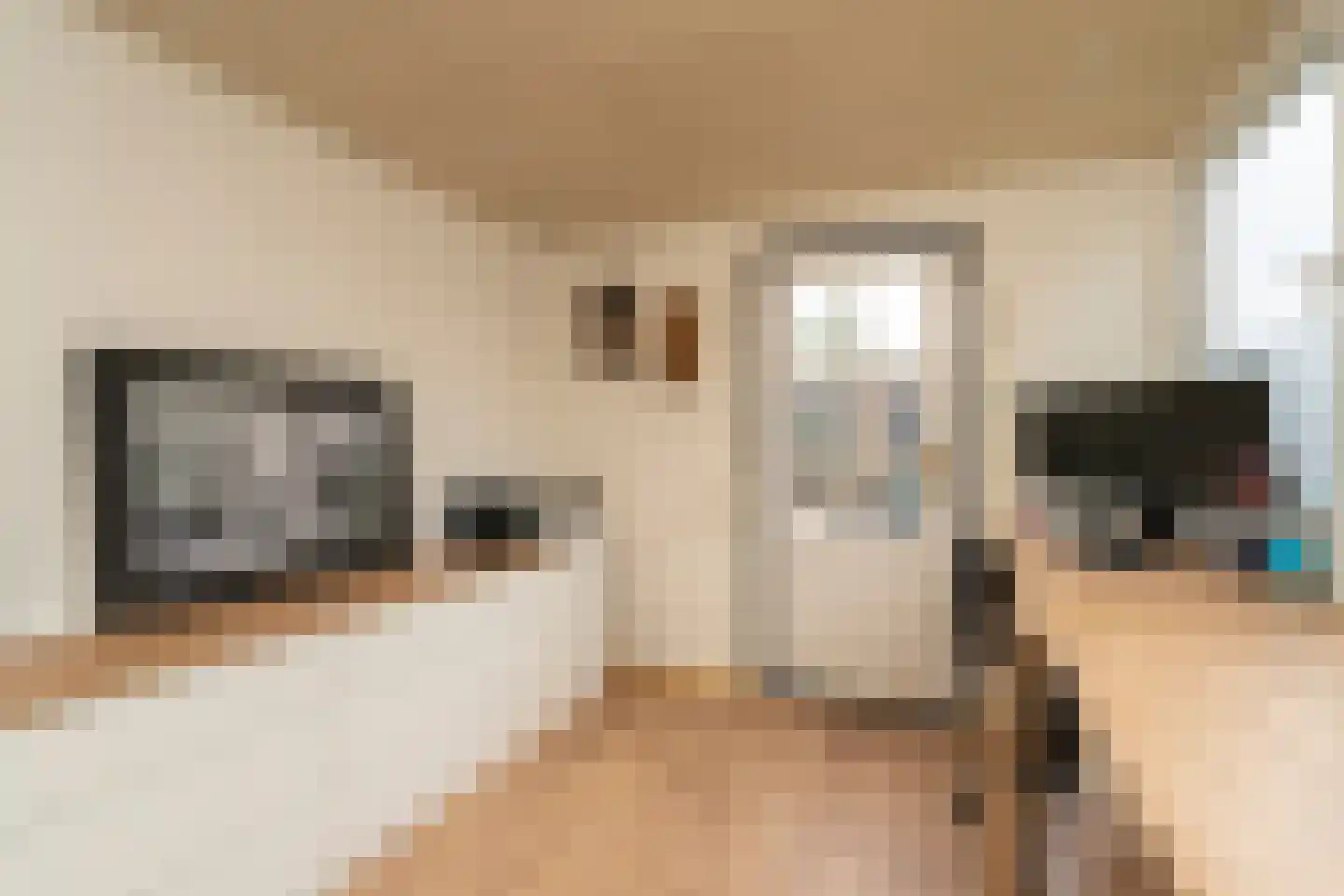 Sparrenstraat 21 Tilburg thumbnail 37