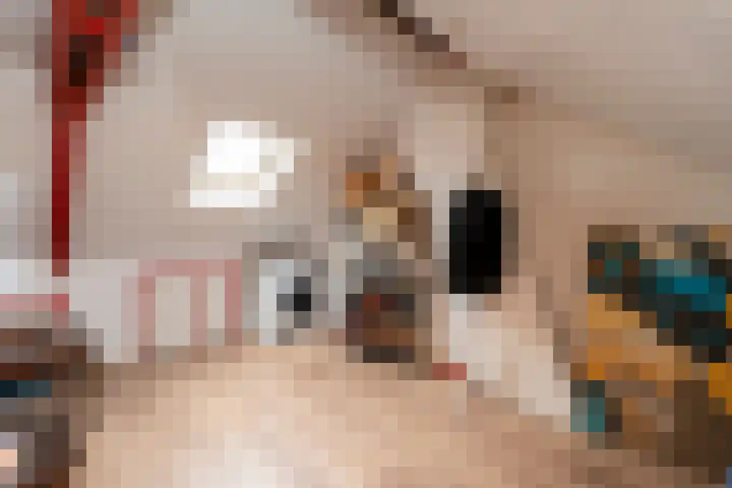 Sparrenstraat 21 Tilburg thumbnail 43