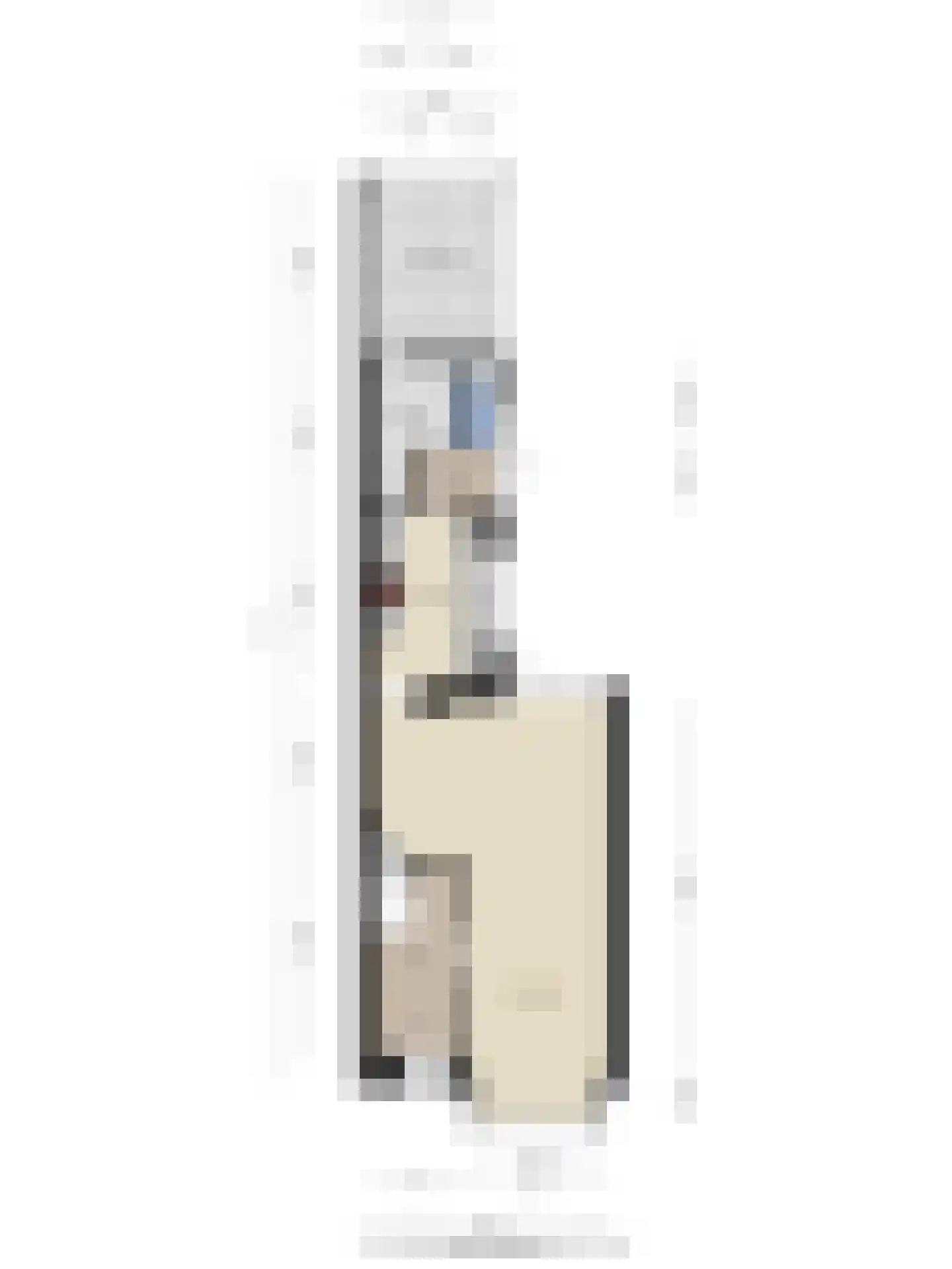 Sparrenstraat 21 Tilburg thumbnail 51