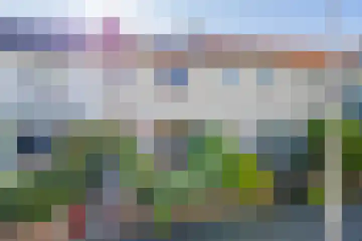 Sparrenstraat 28 IJmuiden thumbnail 42
