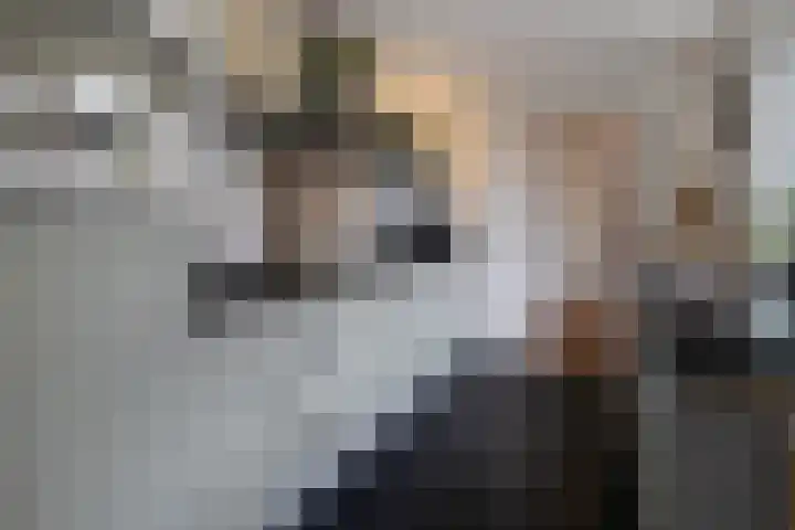 Sparrenstraat 3 Tilburg thumbnail 13