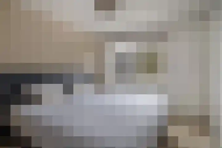 Sparrenstraat 3 Tilburg thumbnail 15