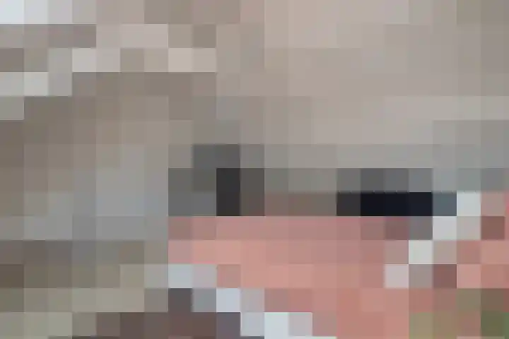Sparrenstraat 3 Tilburg thumbnail 24