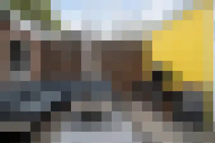 Sparrenstraat 3 Tilburg thumbnail 27