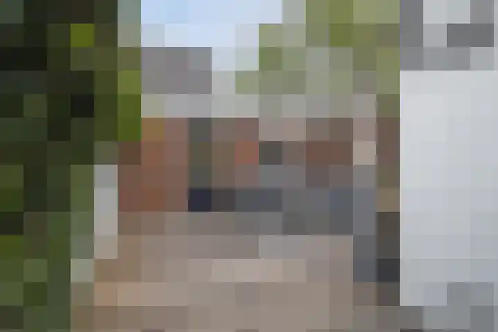 Sparrenstraat 3 Tilburg thumbnail 28