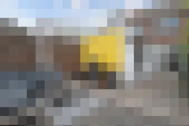 Sparrenstraat 3 Tilburg thumbnail 29