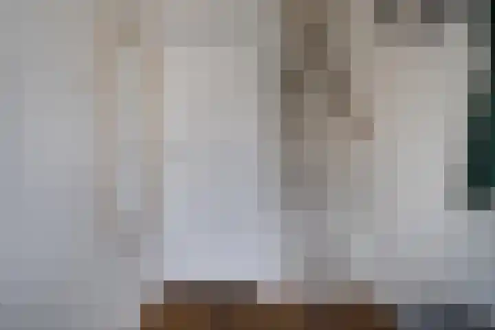 Sparrenstraat 3 Tilburg thumbnail 6