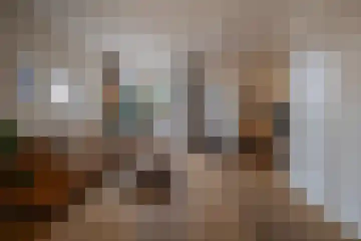 Sparrenstraat 3 Tilburg thumbnail 7