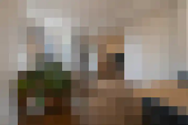 Sparrenstraat 3 Tilburg thumbnail 8