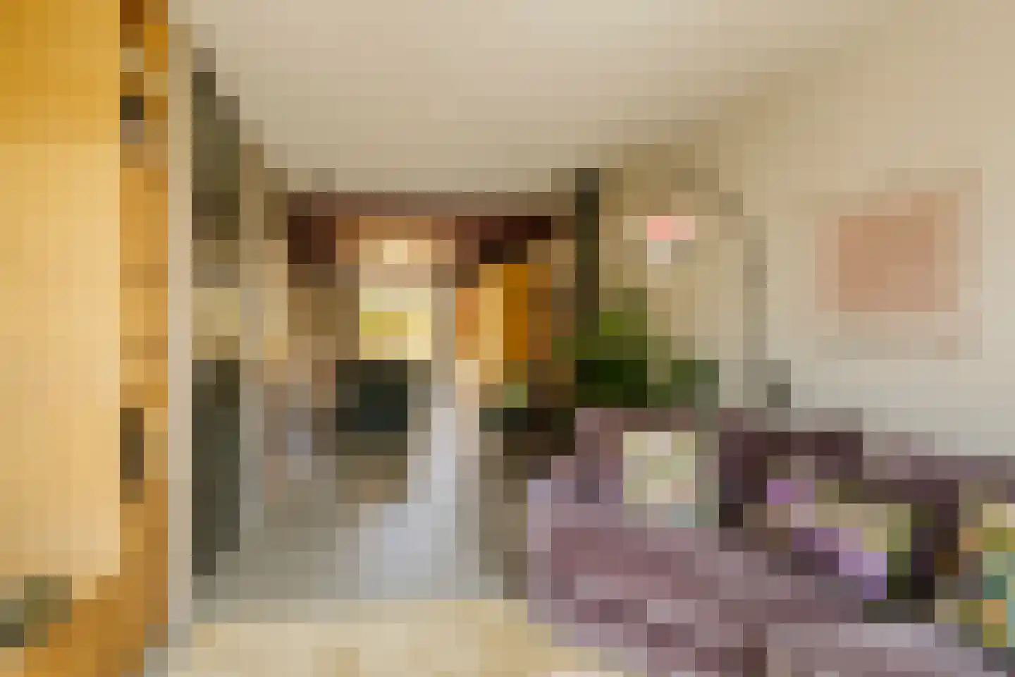 Sparrenstraat 32 Haarlem thumbnail 13