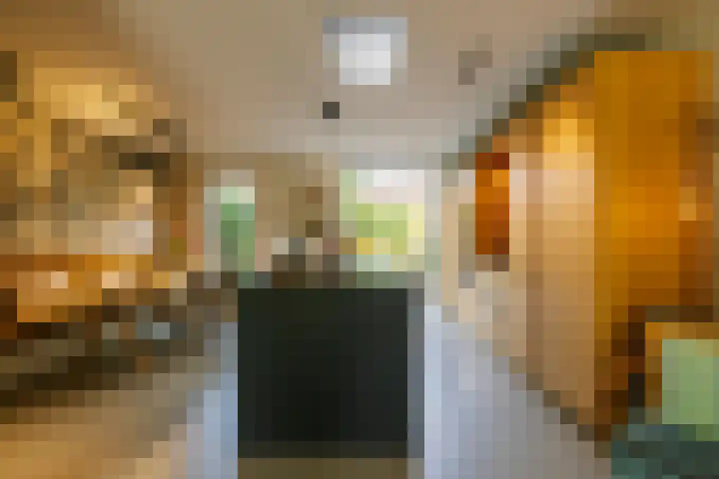 Sparrenstraat 32 Haarlem thumbnail 18